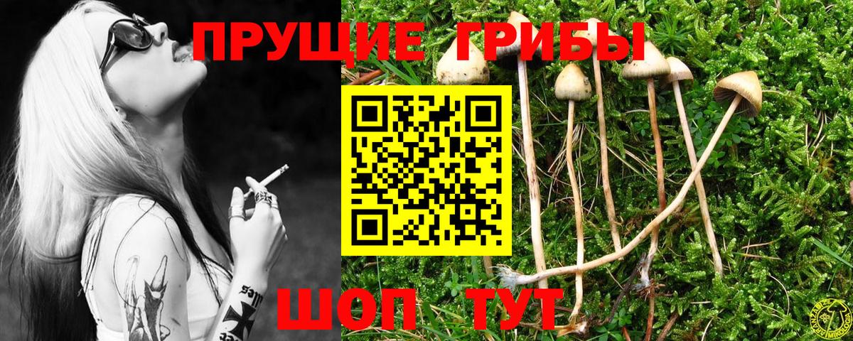 Галлюциногенные грибы прущие грибы  Вход с VPN  Санкт-Петербург 